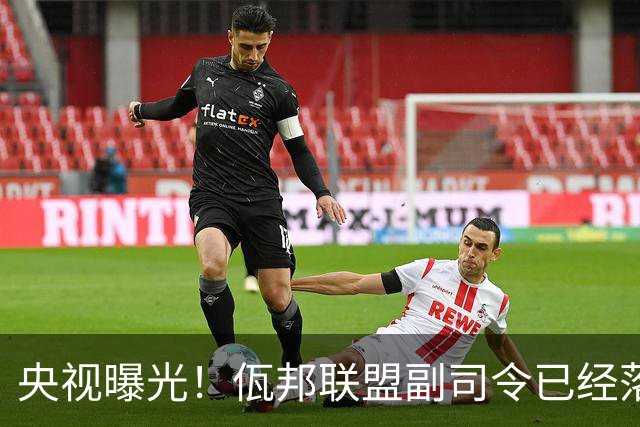 央视曝光！佤邦联盟副司令已经落网，白应兰还能逃亡多久