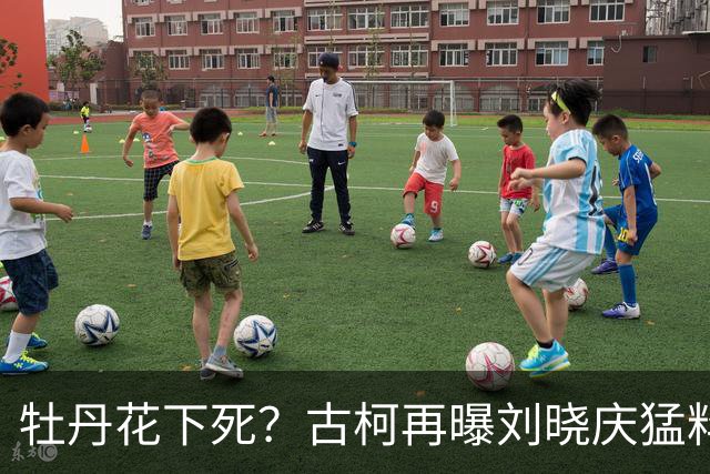 牡丹花下死？古柯再曝刘晓庆猛料，庆奶发声，没把前助理放眼里